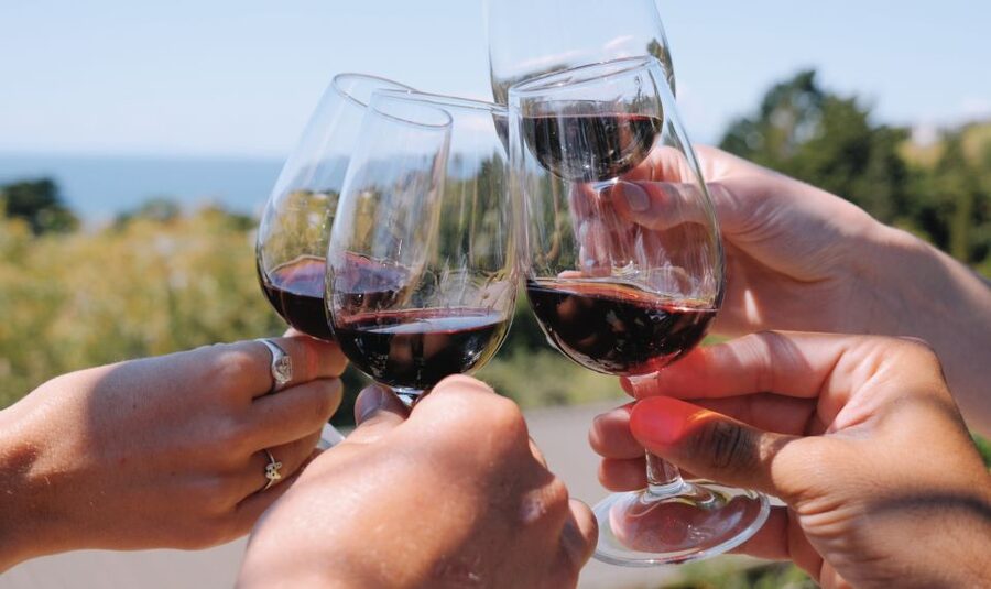 The Boutique Experience: Waiheke Island Best Cellar Tour - A few practical cautions before you reserve