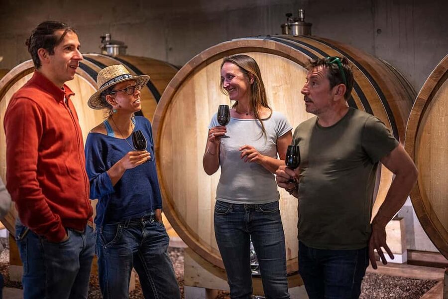 The Châteaux of Grès de Montpellier & Wine Tasting - Who should book this afternoon?