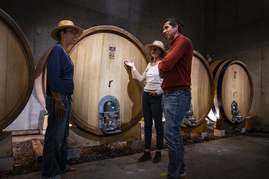The Châteaux of Grès de Montpellier & Wine Tasting - Painted barrels, gardens, and the second tasting