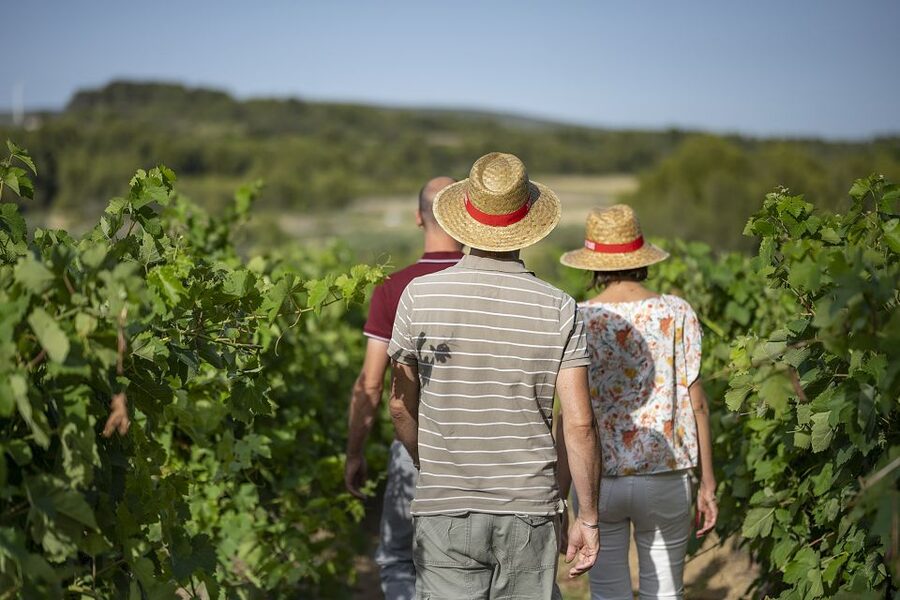 The Châteaux of Grès de Montpellier & Wine Tasting - What the small group changes