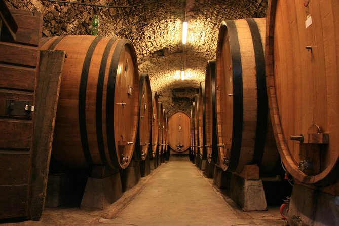 The Day Tour to Cricova Cellar & Old Orhei Cave Monasteries - What the $139 price really covers