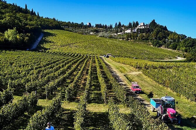 The Essence of Tuscany: Private Journey & Estate Winery Lunch - The Chianti road between stops