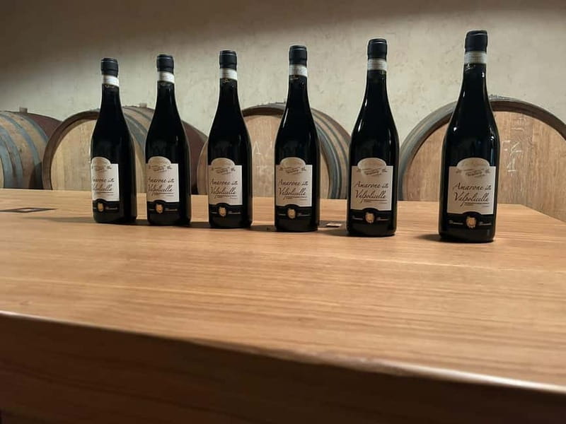The grand tour of Amarone: 2 wineries with delicious lunch - Why Amarone makes this tour different