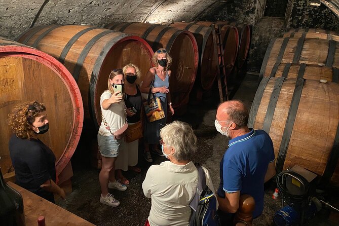 The Grand tour of Valpolicella: 2 Wineries, Lunch & Amarone focus - Key points to know before booking