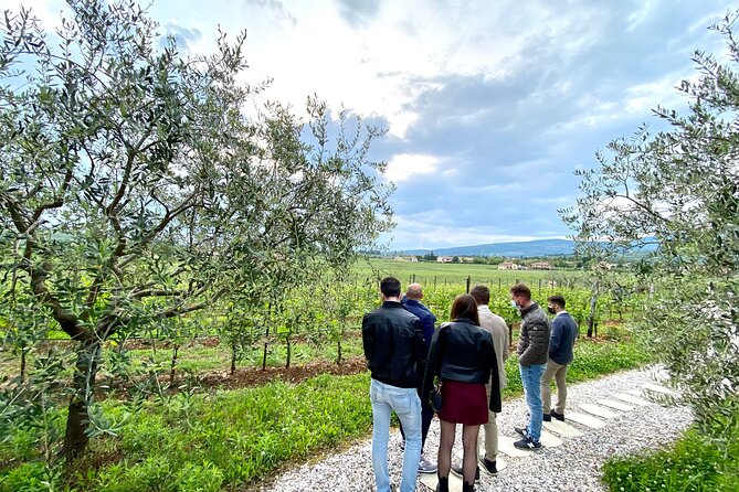 The Grand tour of Valpolicella: 2 Wineries, Lunch & Amarone focus - A cellar detail that may catch you off guard