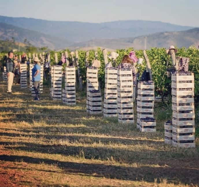 The largest winery in Montenegro: private tour & transport - Key points to know before you book