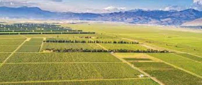 The largest winery in Montenegro: private tour & transport - Why Plantaže is worth your time in Podgorica