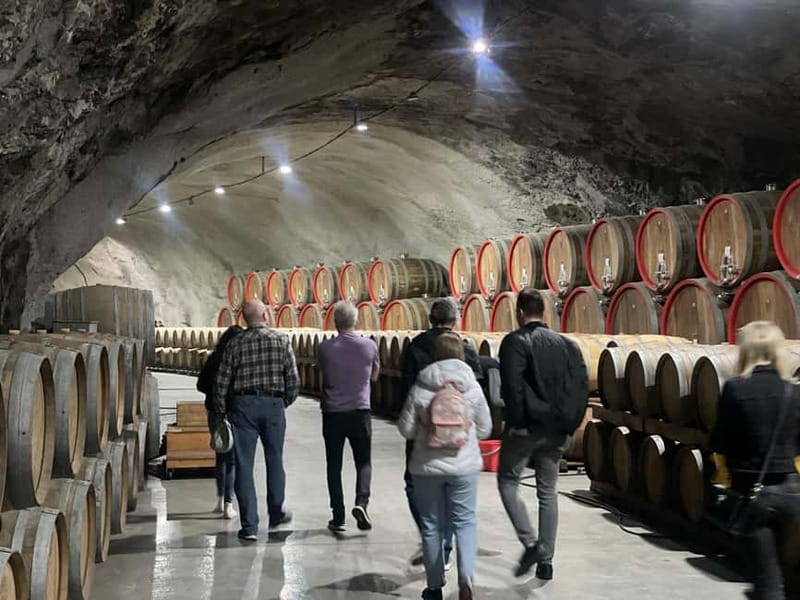 The largest winery in Montenegro: private tour & transport - What the guide adds to a private visit