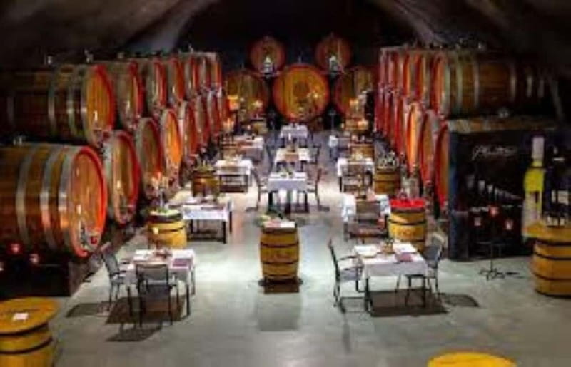 The largest winery in Montenegro: private tour & transport - Is $94 per person good value?