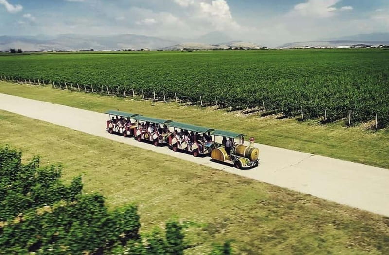 The largest winery in Montenegro: private tour & transport - Leaving Podgorica by private car