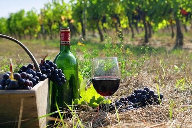 The Nemea wine roads with breathtaking Nafplion private tour - Key points to know before booking