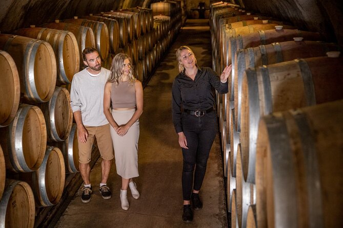 The Original Queenstown Wine Trail Tour – Celebrating 33+ Years! - Who should take this afternoon outing?