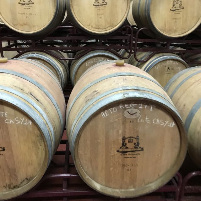 The Real Algarve: 2 Boutique Wineries & Silves Tour - Key points to know before booking