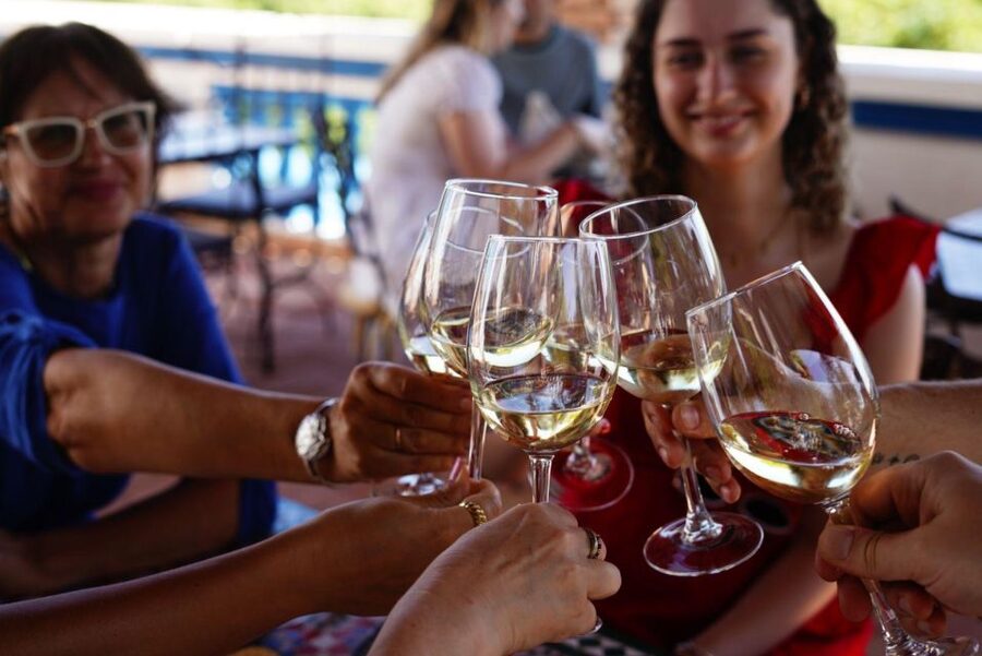 The Real Algarve: 2 Boutique Wineries & Silves Tour - The van ride and small-group feel