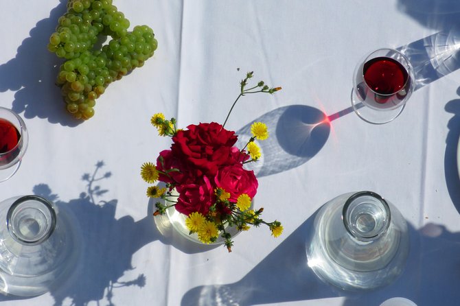 The wine route by bike - Why this bike-and-wine route works