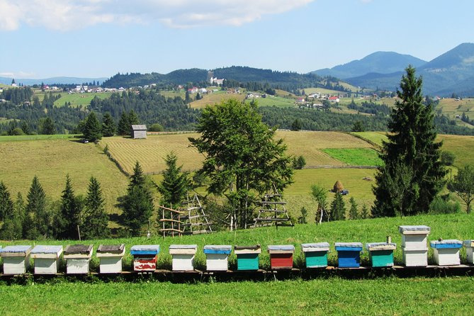 The wine route by bike - The return ride is simple, but do not underestimate it