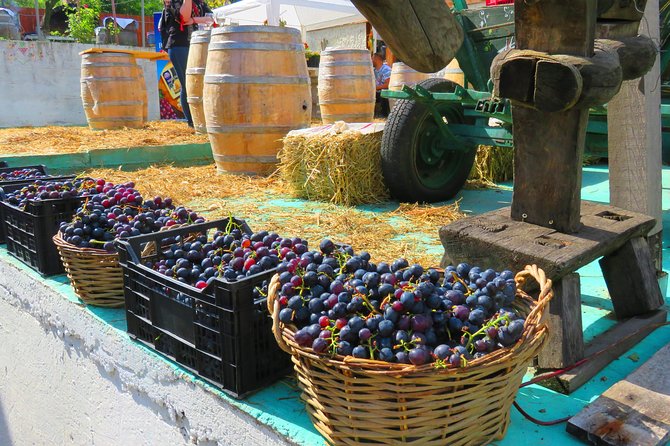 The wine route by bike - Bellu Manor gives the day a useful beginning