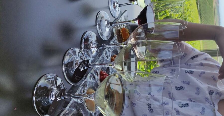 Thessaloniki: Winery Visit with Wine Tasting Experience - Why this winery visit is worth your afternoon