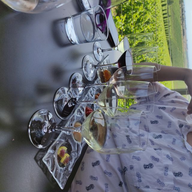 Thessaloniki: Winery Visit with Wine Tasting Experience - Who should book this experience?