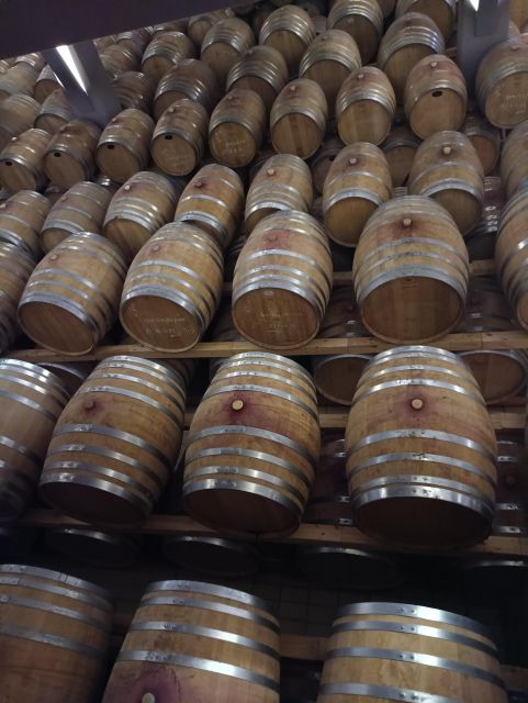 Thessaloniki: Winery Visit with Wine Tasting Experience - Meeting Dora and getting to the winery