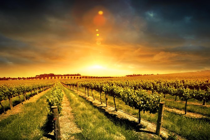 Three Courses Lunch and Wine Tour Through Niagara's Wine Country - Four wineries in six hours