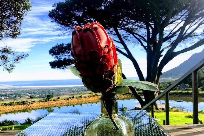 Three Day Private tour: Table Mountain, City, Cape Peninsula and Winelands - What the price includes and what it does not