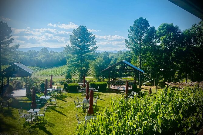 Three Vineyards Half Day Private Wine Tour From Asheville - What the private vehicle changes