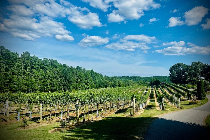 Three Vineyards Half Day Private Wine Tour From Asheville - The guides are part of the experience