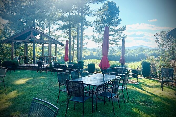 Three Vineyards Half Day Private Wine Tour From Asheville - Who will enjoy this Asheville wine tour