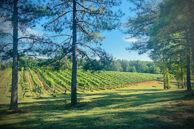 Three Vineyards Half Day Private Wine Tour From Asheville - Marked Tree Vineyard ends the day in Flat Rock