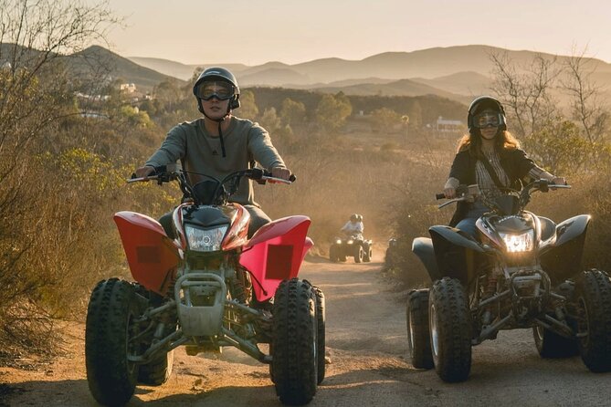 Thrilling ATV Ride Through Vineyards with Port Pickup - Food, wine, cheese, and tequila are optional