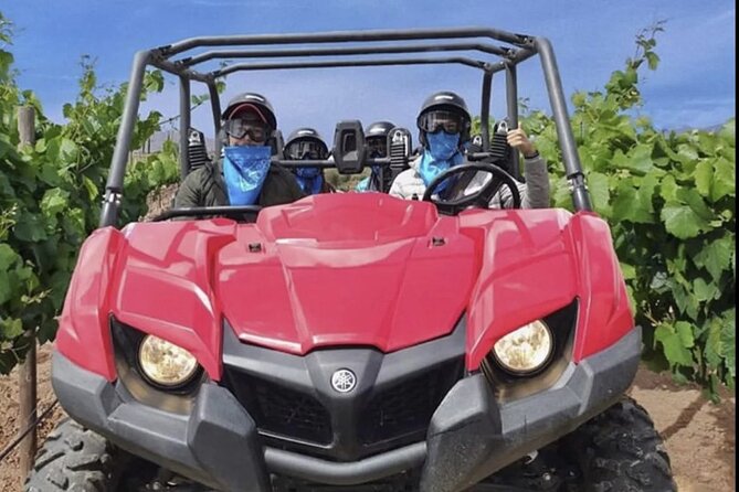 Thrilling ATV Ride Through Vineyards with Port Pickup - Who should book this experience