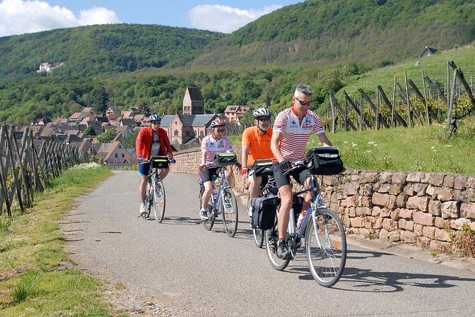 Through Alsace Vineyards and Wine Villages Private Bike Tour - Key points to know before you book