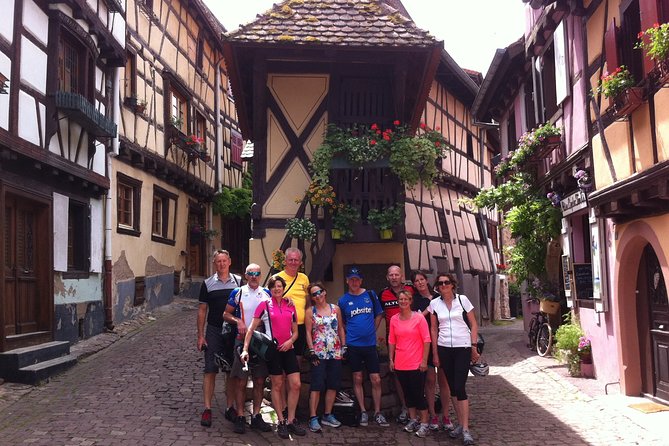 Through Alsace Vineyards and Wine Villages Private Bike Tour - Why a bicycle makes sense in Alsace