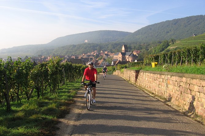 Through Alsace Vineyards and Wine Villages Private Bike Tour - Riding through Grand Cru vineyards