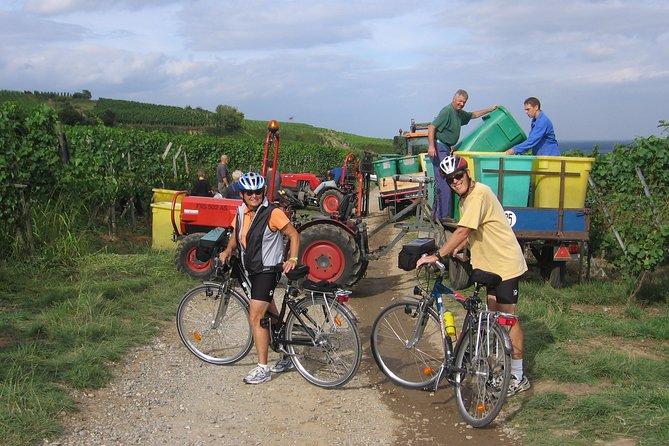 Through Alsace Vineyards and Wine Villages Private Bike Tour - A guide who adjusts to your group