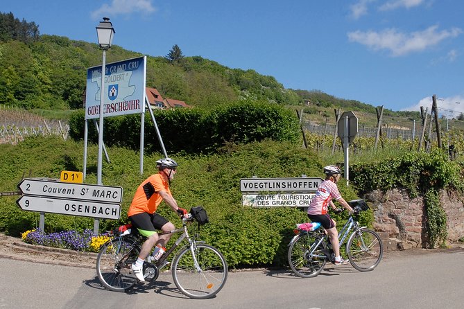 Through Alsace Vineyards and Wine Villages Private Bike Tour - What the $132.16 price delivers