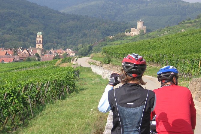 Through Alsace Vineyards and Wine Villages Private Bike Tour - Eguisheim and its medieval lanes