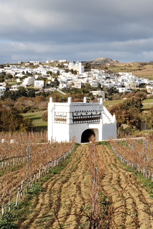 Tinos: Winery Tour and Wine Tasting Paired with Snacks - Why Tinos wine makes this visit different