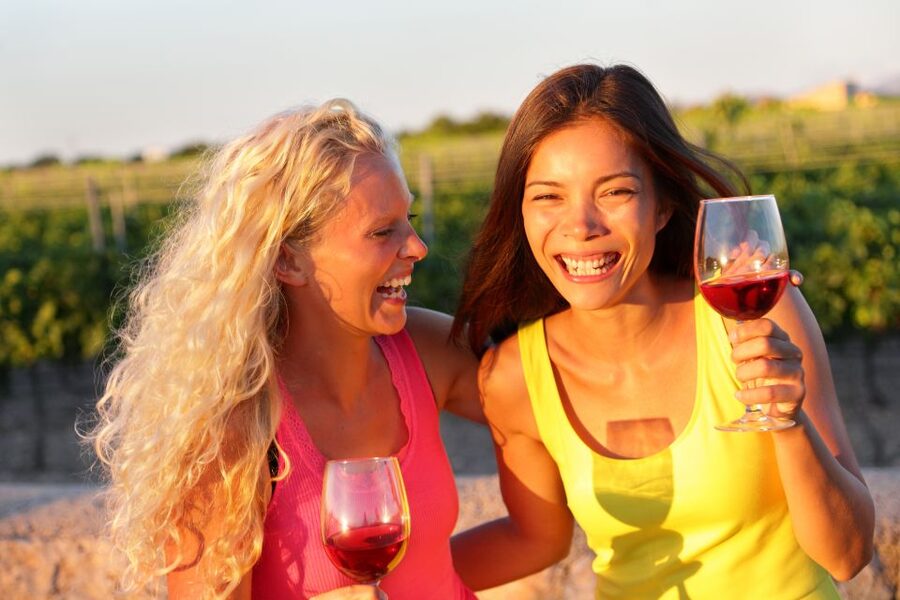 Tinos: Winery Tour and Wine Tasting Paired with Snacks - Walking through the vineyard