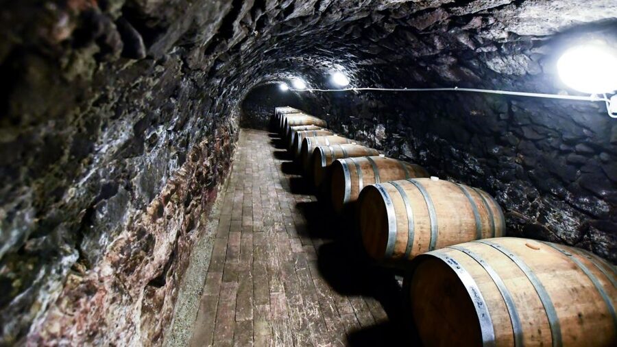 Tokaj: Vineyard Tour & Tasting - Pickup from Tokaj, Tarcal, or Bodrogkeresztúr