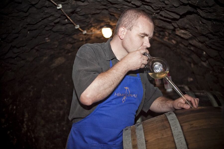 Tokaj: Vineyard Tour & Tasting - Inside Hímesudvar Wine Estate