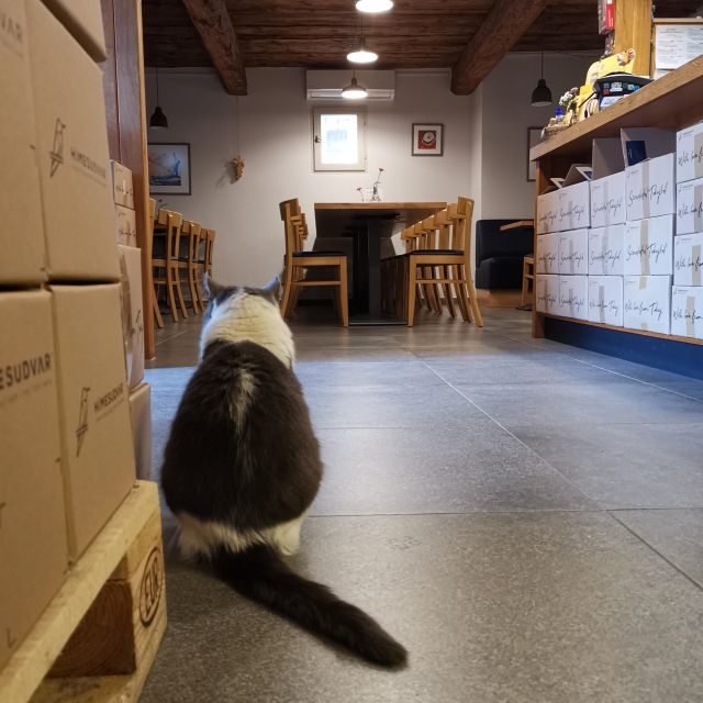 Tokaj: Vineyard Tour & Tasting - Cheese, bread, olives, and a sensible pace