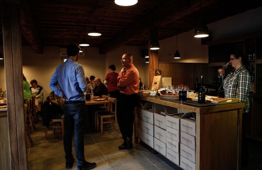 Tokaj: Vineyard Tour & Tasting - A 30-minute walk through the vineyard