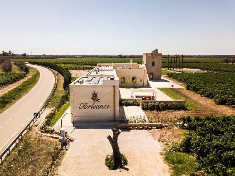 TORLEANZI: Wine Tour and Tasting at the Torre San Gennaro Winery - The 15th-century Masseria and its local stories