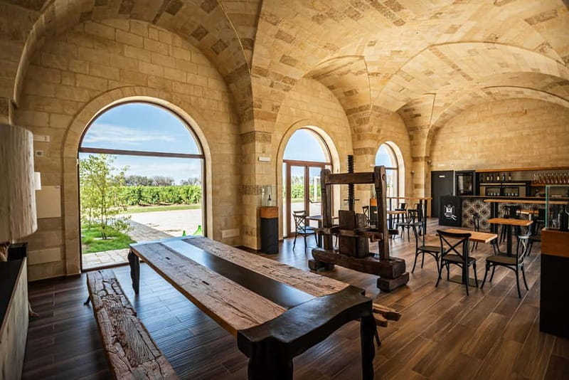 TORLEANZI: Wine Tour and Tasting at the Torre San Gennaro Winery - Four wines that explain Salento’s main grapes