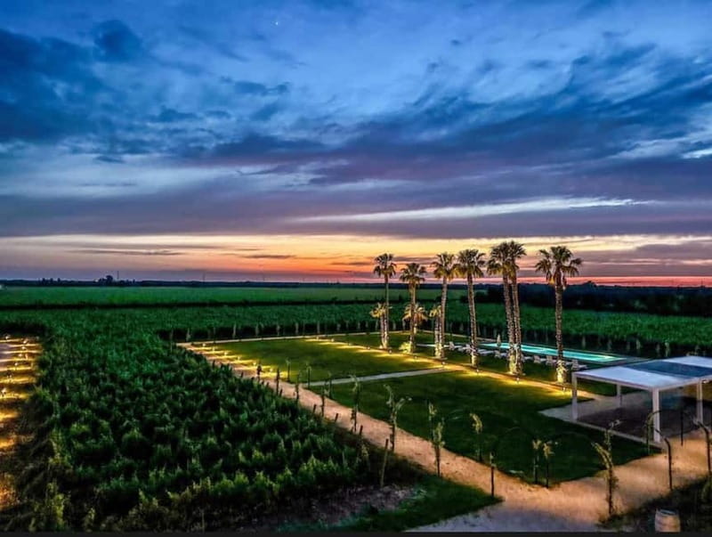 TORLEANZI: Wine Tour and Tasting at the Torre San Gennaro Winery - Who will get the most from this Torleanzi visit