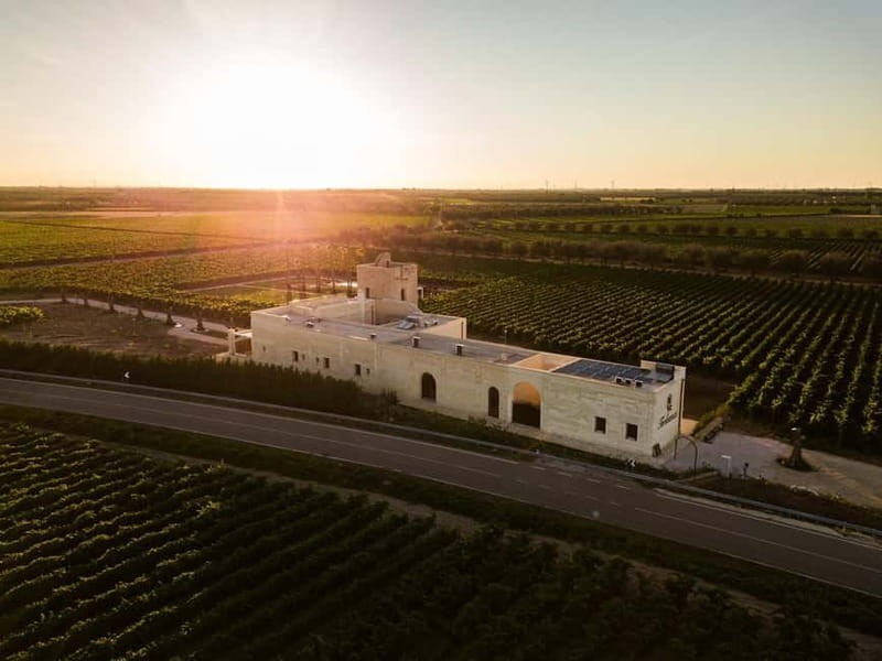 TORLEANZI: Wine Tour and Tasting at the Torre San Gennaro Winery - Walking through two native Salento vineyards