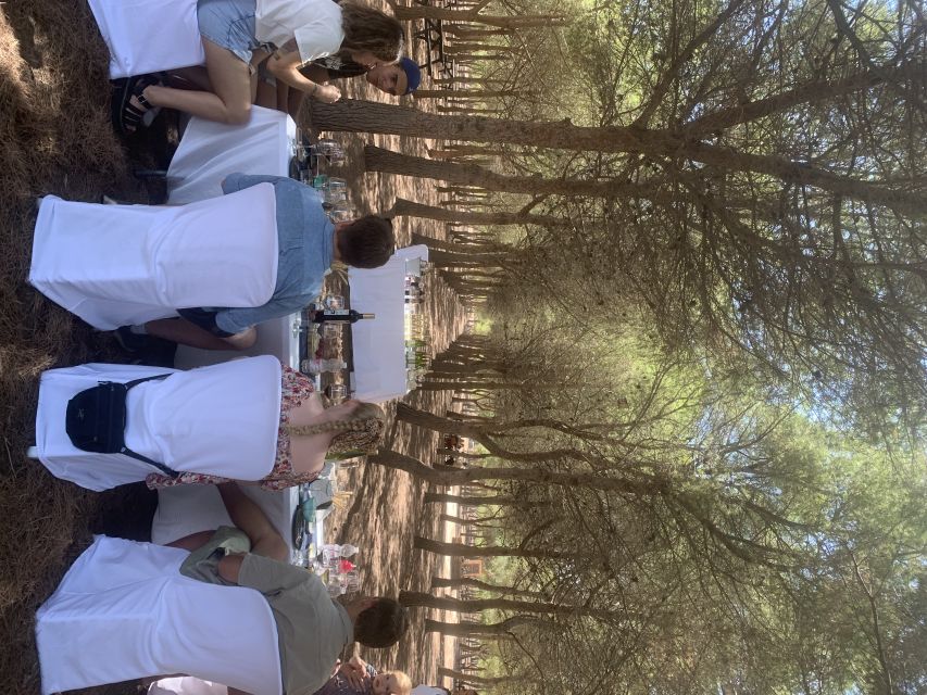 Torrevieja: Local Wine and Food Tasting Tour in La Mata Park - Key points to know before you go