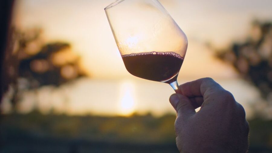 Torrevieja: Local Wine and Food Tasting Tour in La Mata Park - Starting at the park entrance